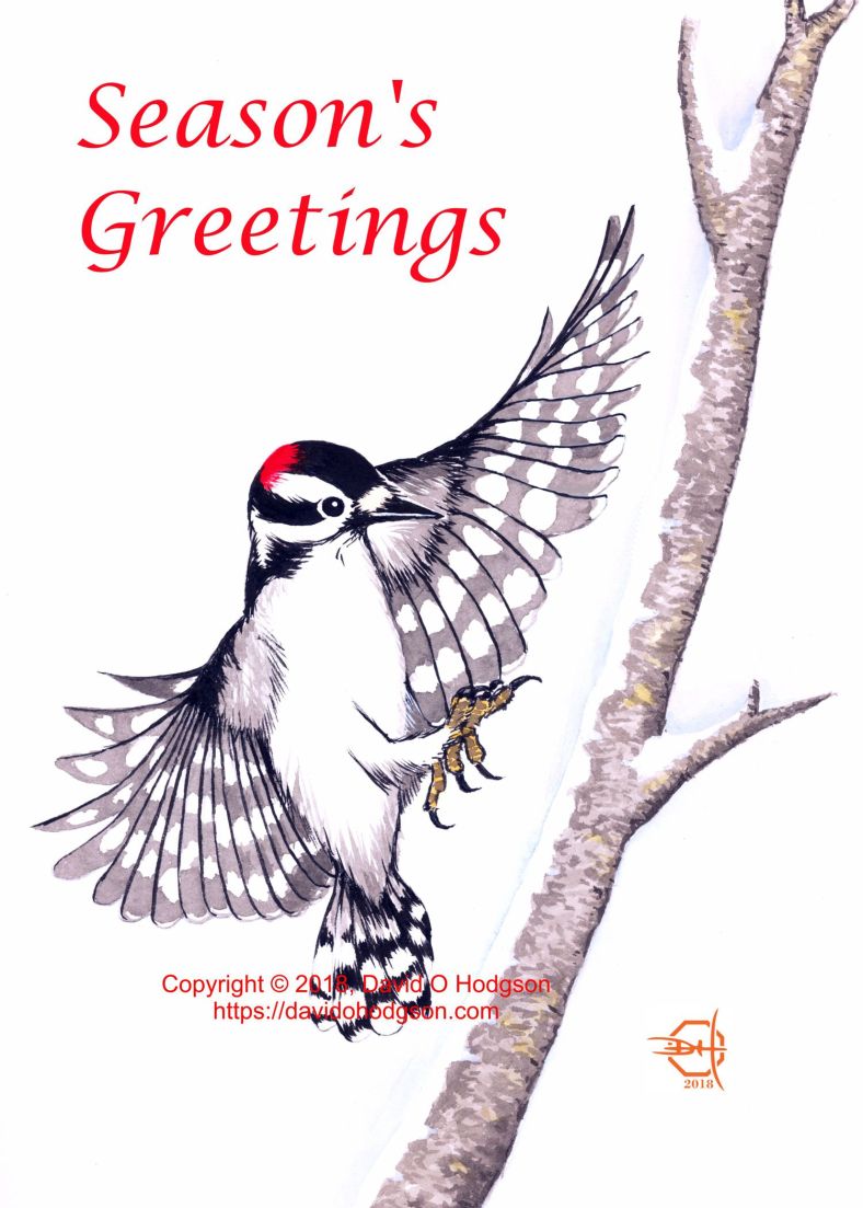 Winter Woodpecker: Ink &amp; Watercolor